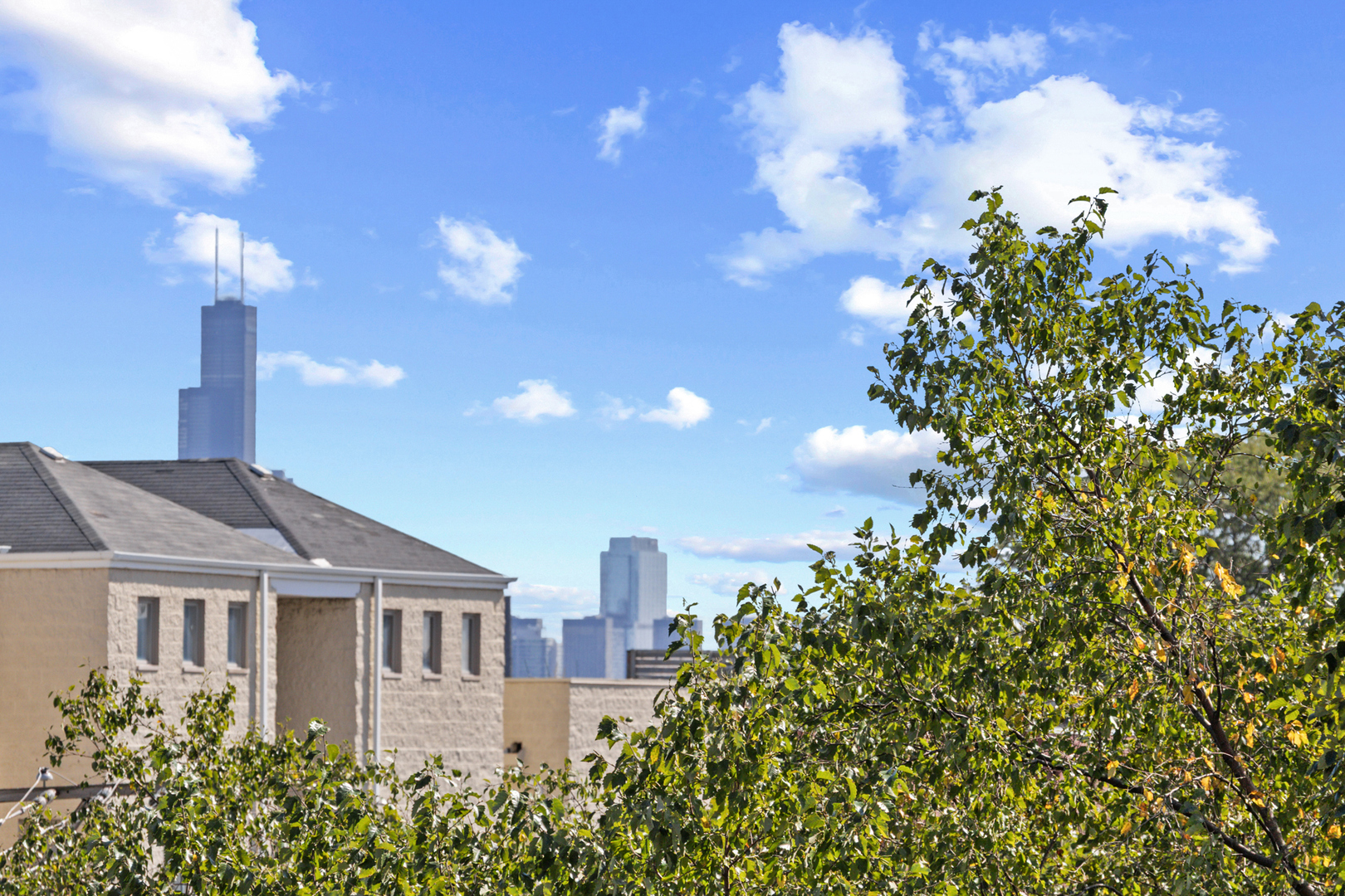 1921 W Diversey Parkway Unit: 402