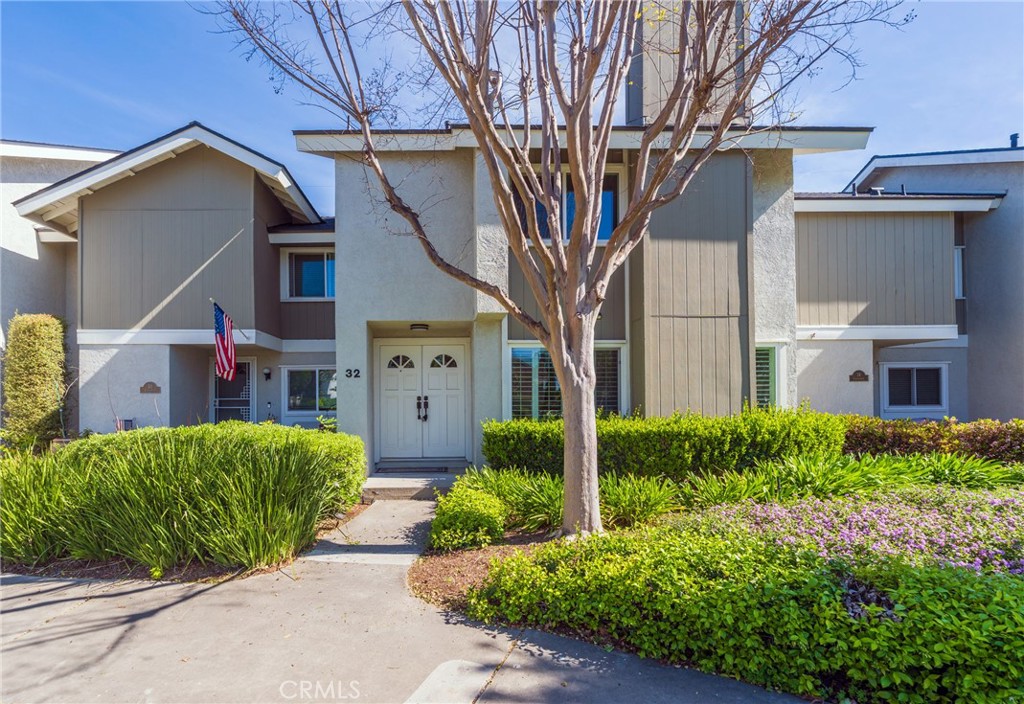 32 Goldenbush