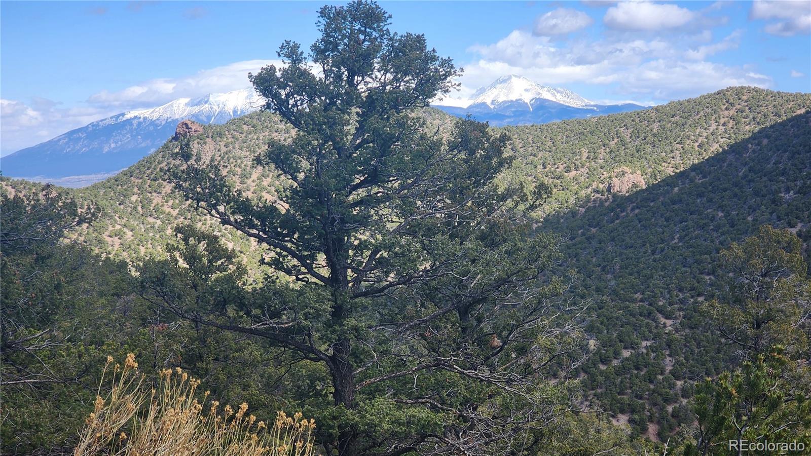 5040 & 5041 Mamouche Road