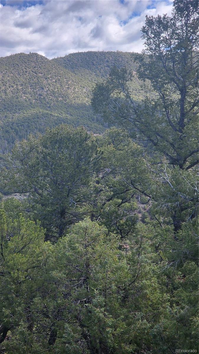 5040 & 5041 Mamouche Road