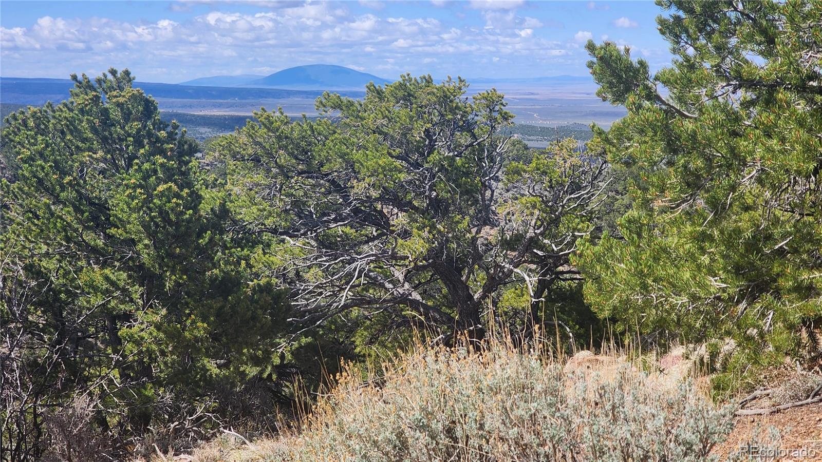 5040 & 5041 Mamouche Road