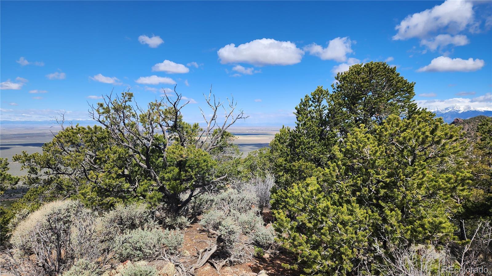 5040 & 5041 Mamouche Road