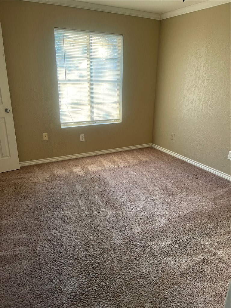 302 Timbertrail