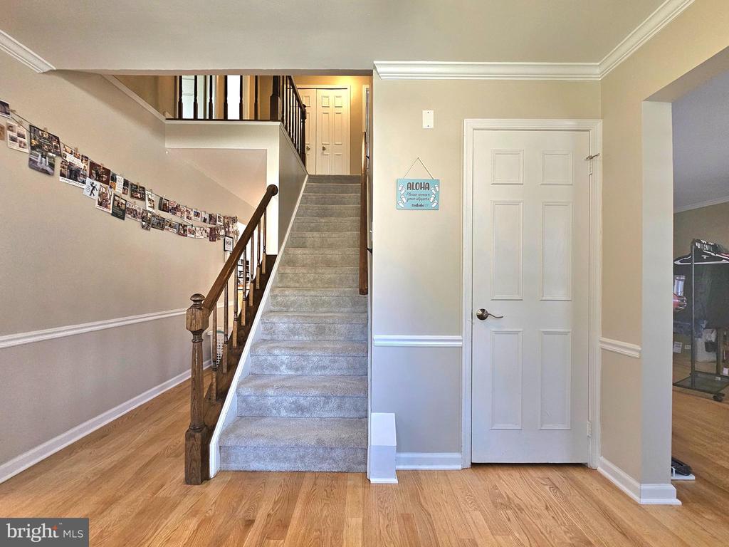 9505 PROTEST COURT