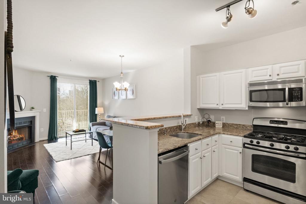 1625 INTERNATIONAL DRIVE 203