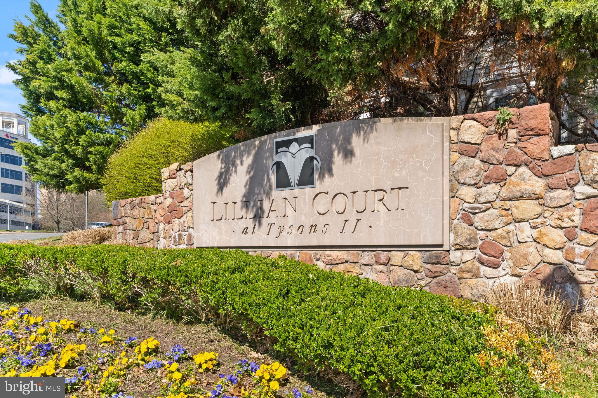 1625 INTERNATIONAL DRIVE 203