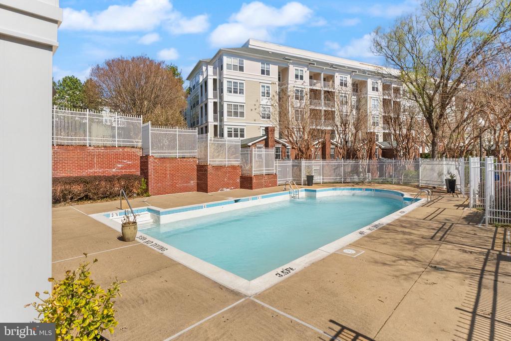 1625 INTERNATIONAL DRIVE 203