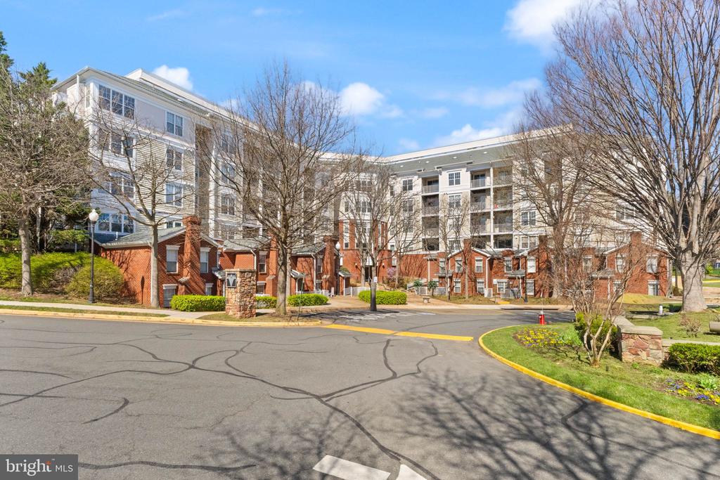 1625 INTERNATIONAL DRIVE 203