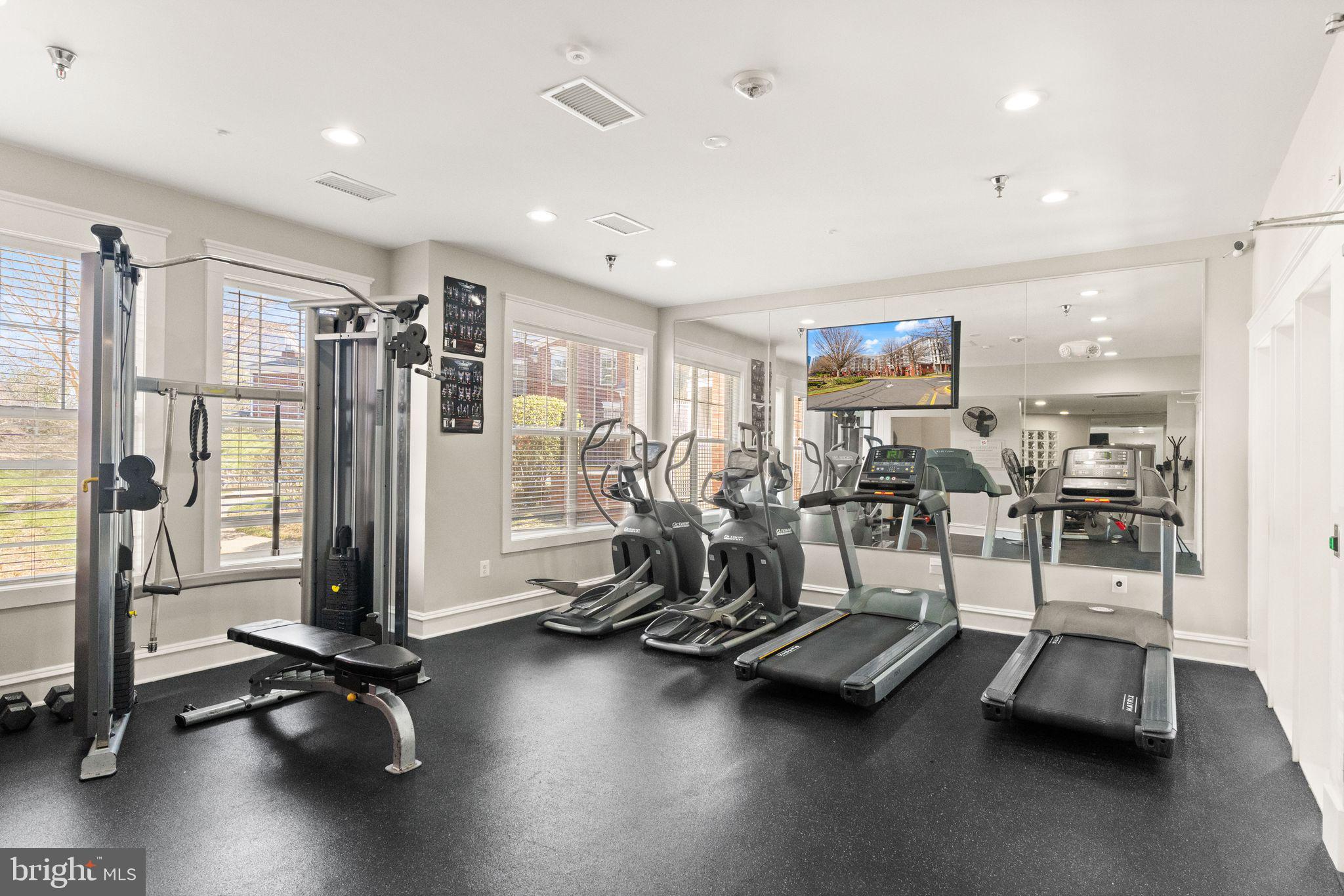 1625 INTERNATIONAL DRIVE 203