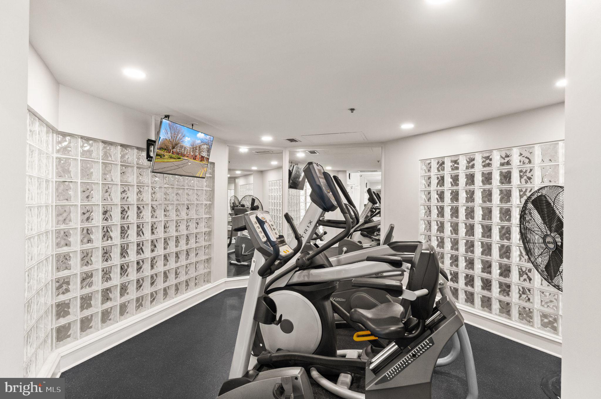 1625 INTERNATIONAL DRIVE 203