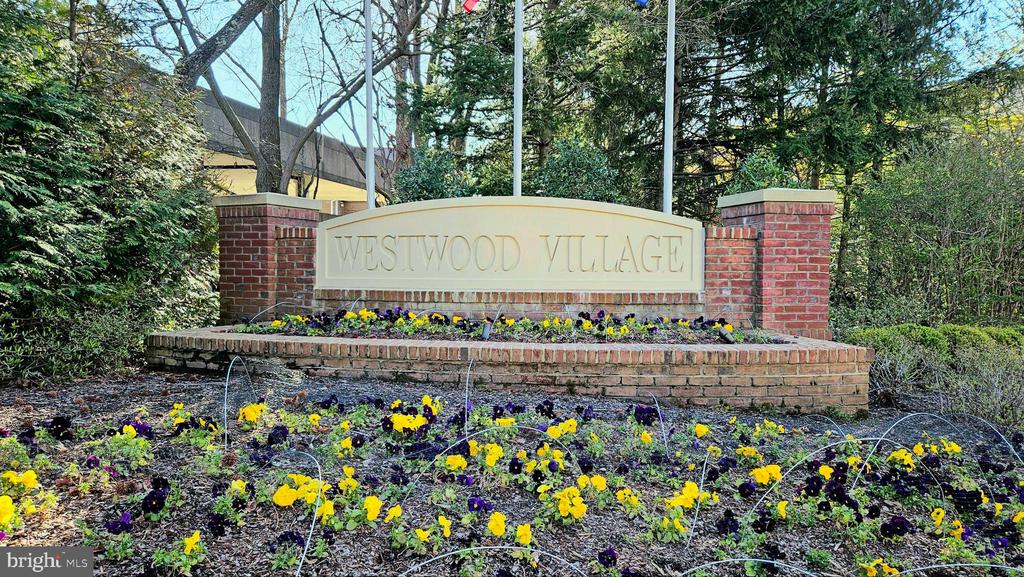 8847 ASHGROVE HOUSE LANE