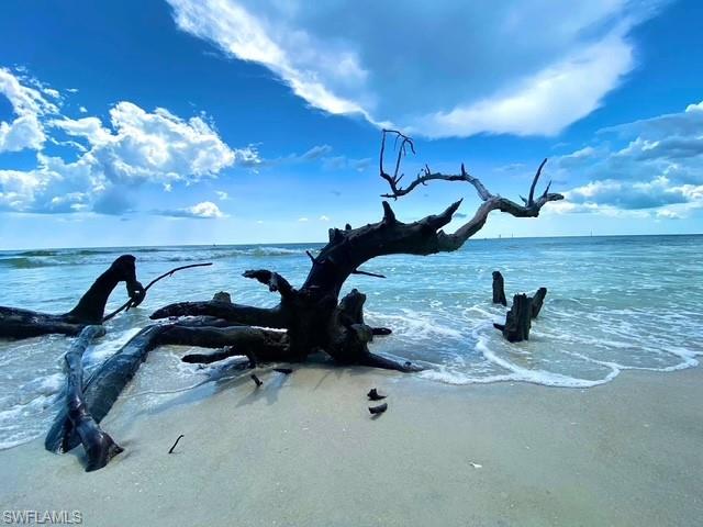 866 Carrick Bend CIR # 201