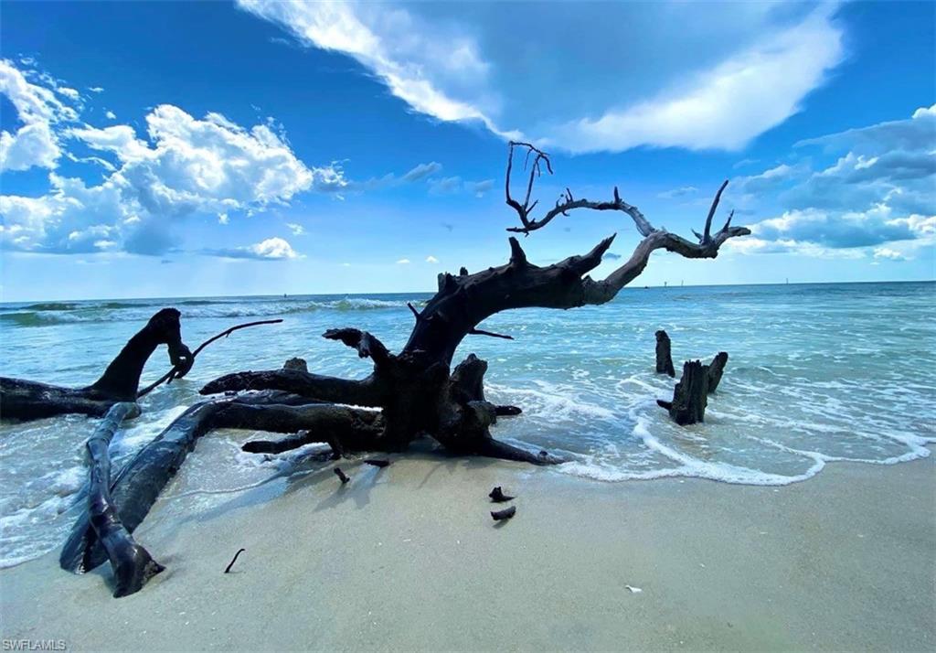 857 Carrick Bend CIR 202