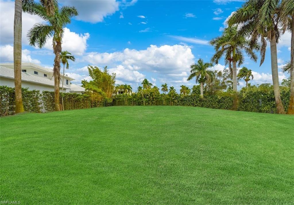 Wide green lawn bordered by palms and a hedge, with a neighboring white house at the left.