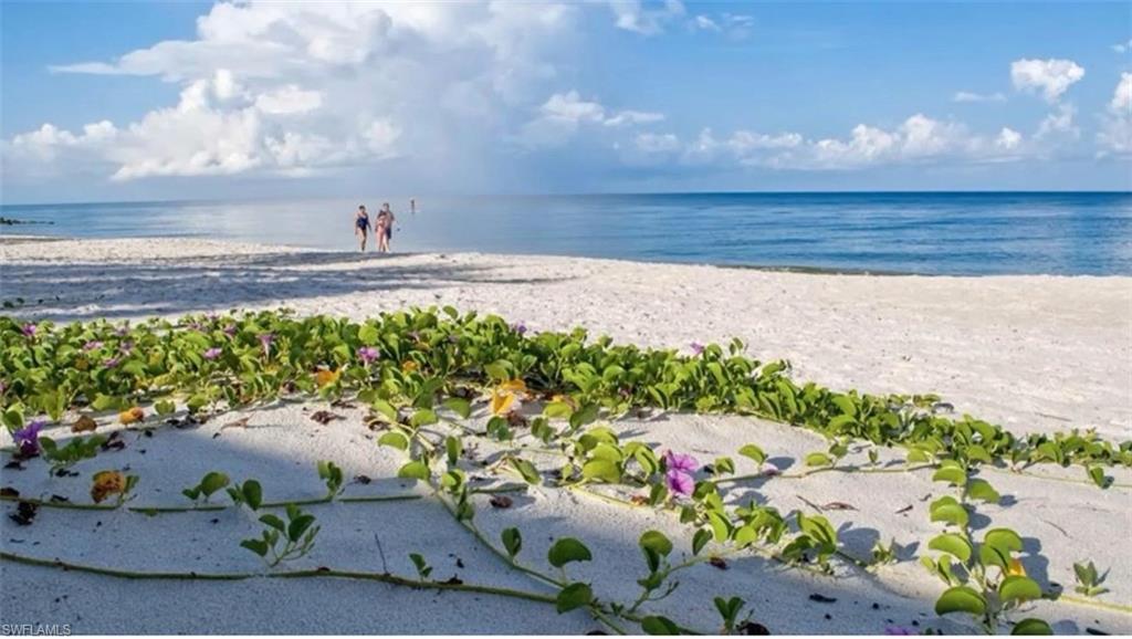 Sandy beach with shoreline plants, calm blue water, and two people near the waterline.