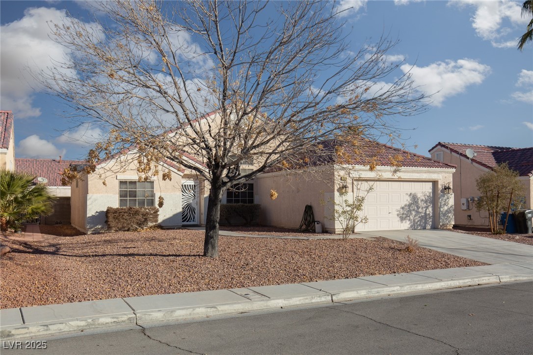 2610 Gardenia Flower Avenue