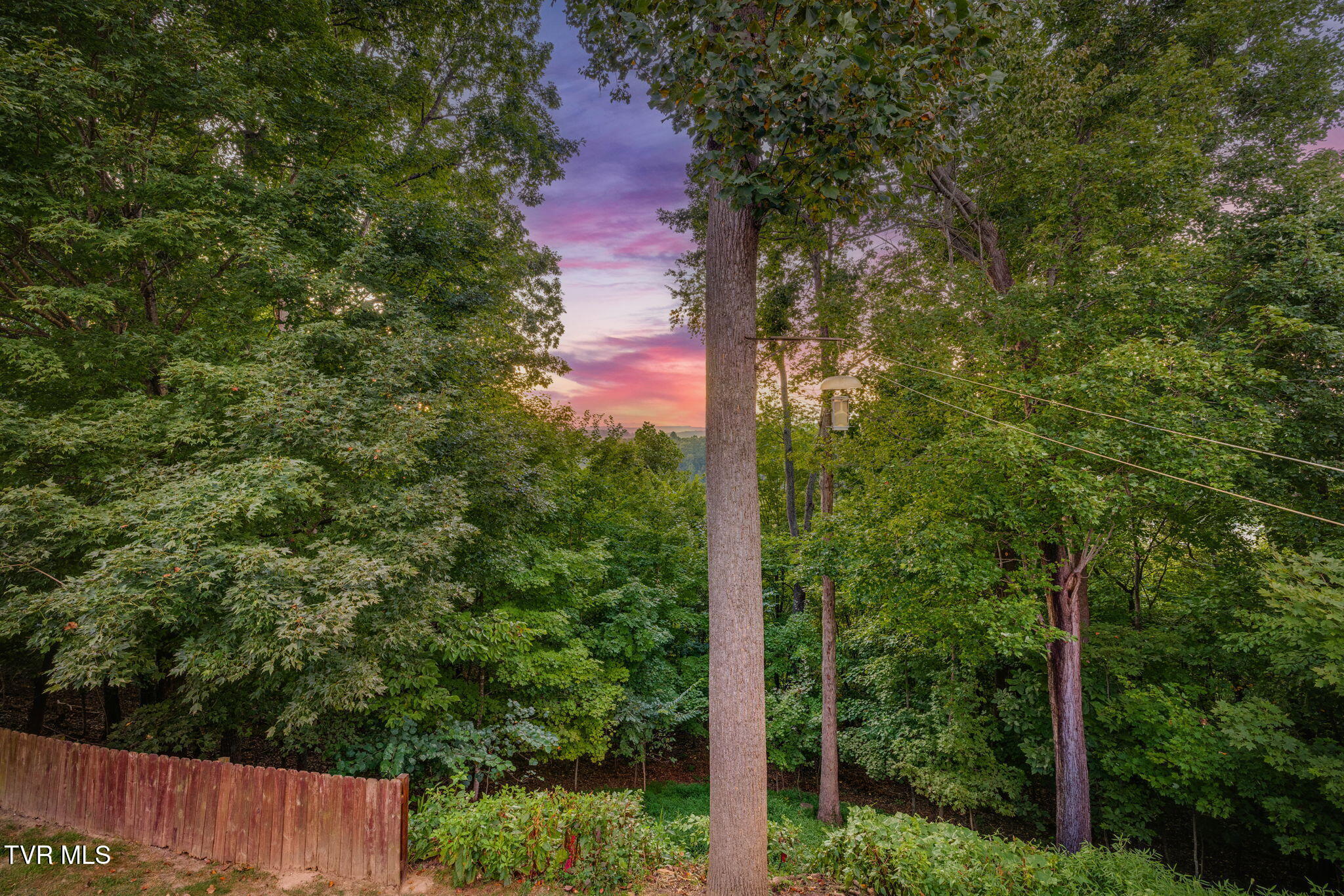 259 Alpine Trail