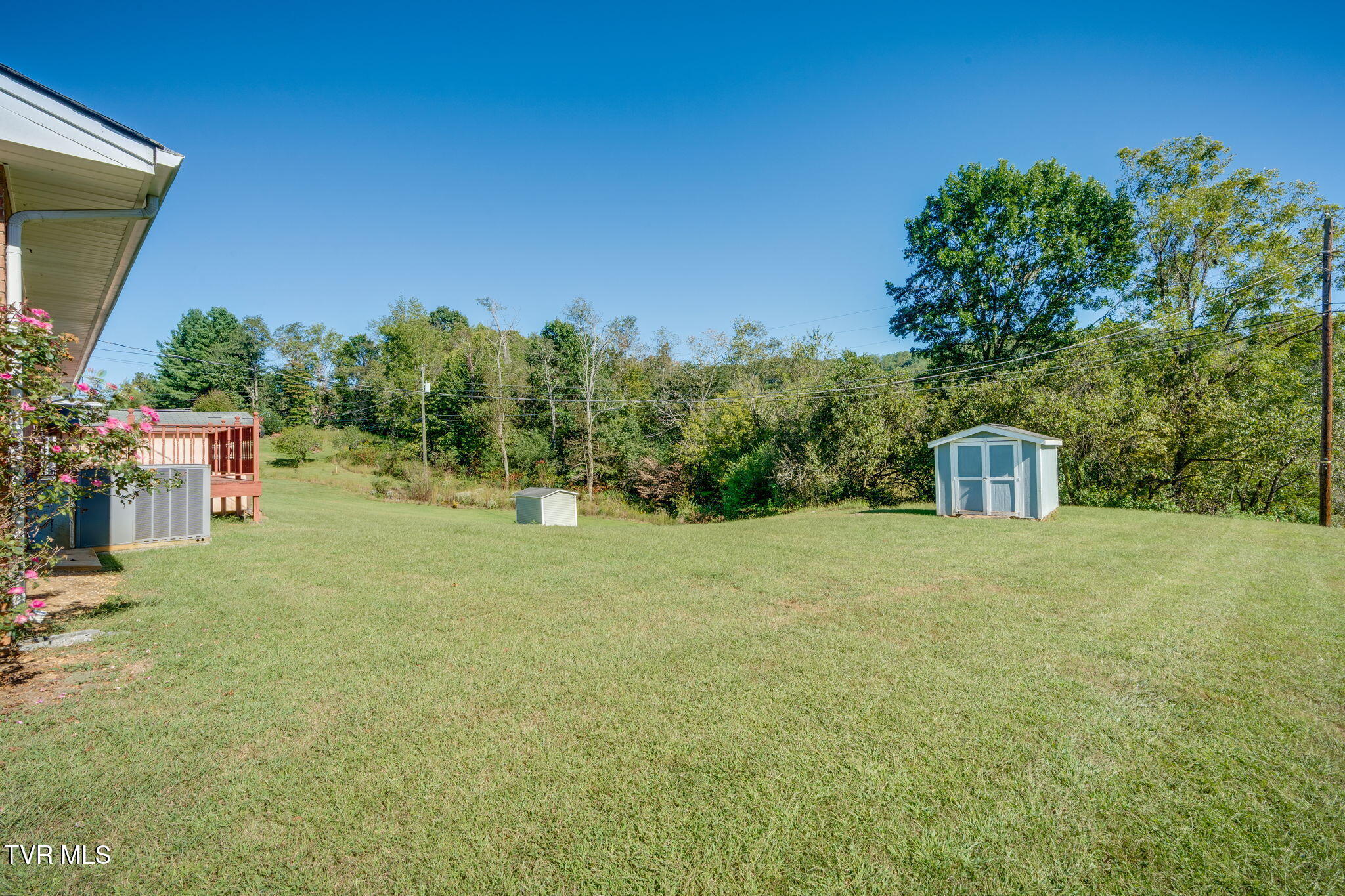 Backyard with a broad lawn, two storage sheds, and a wooded backdrop.