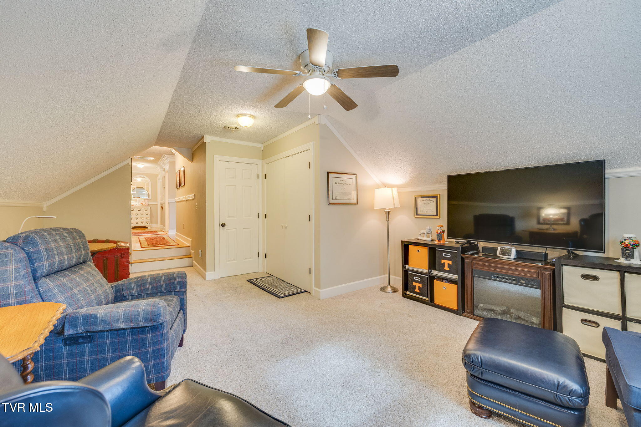 Furnished living room with sloped ceilings, blue plaid seating, and a large television.