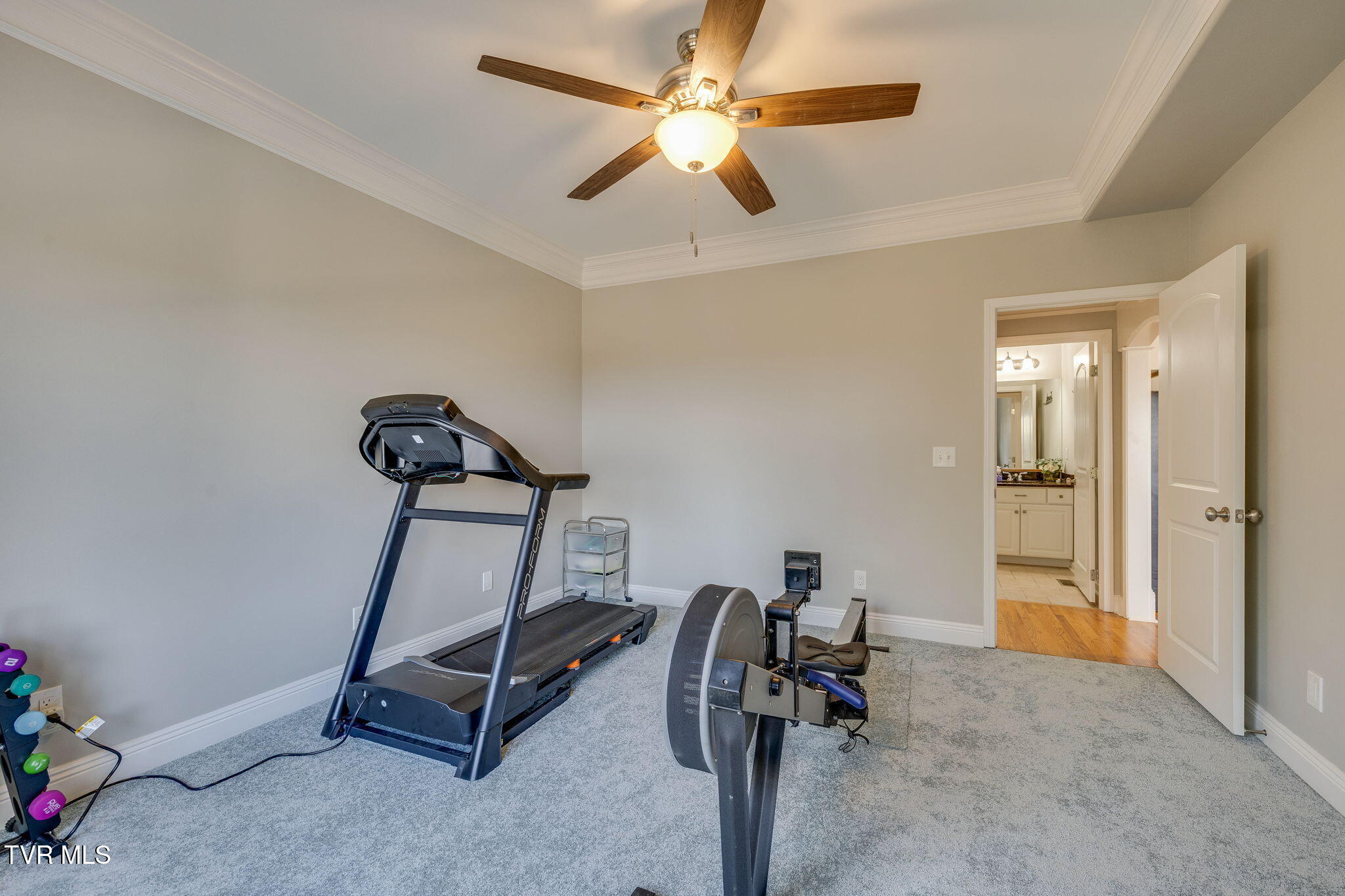 280 Alpine Trail
