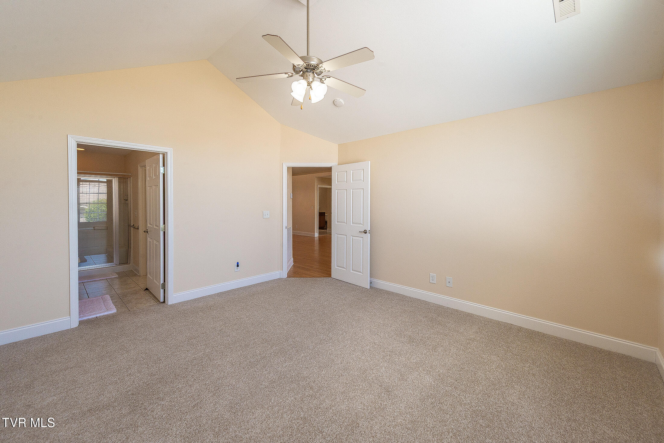 1729 Skyland Falls Court 1729