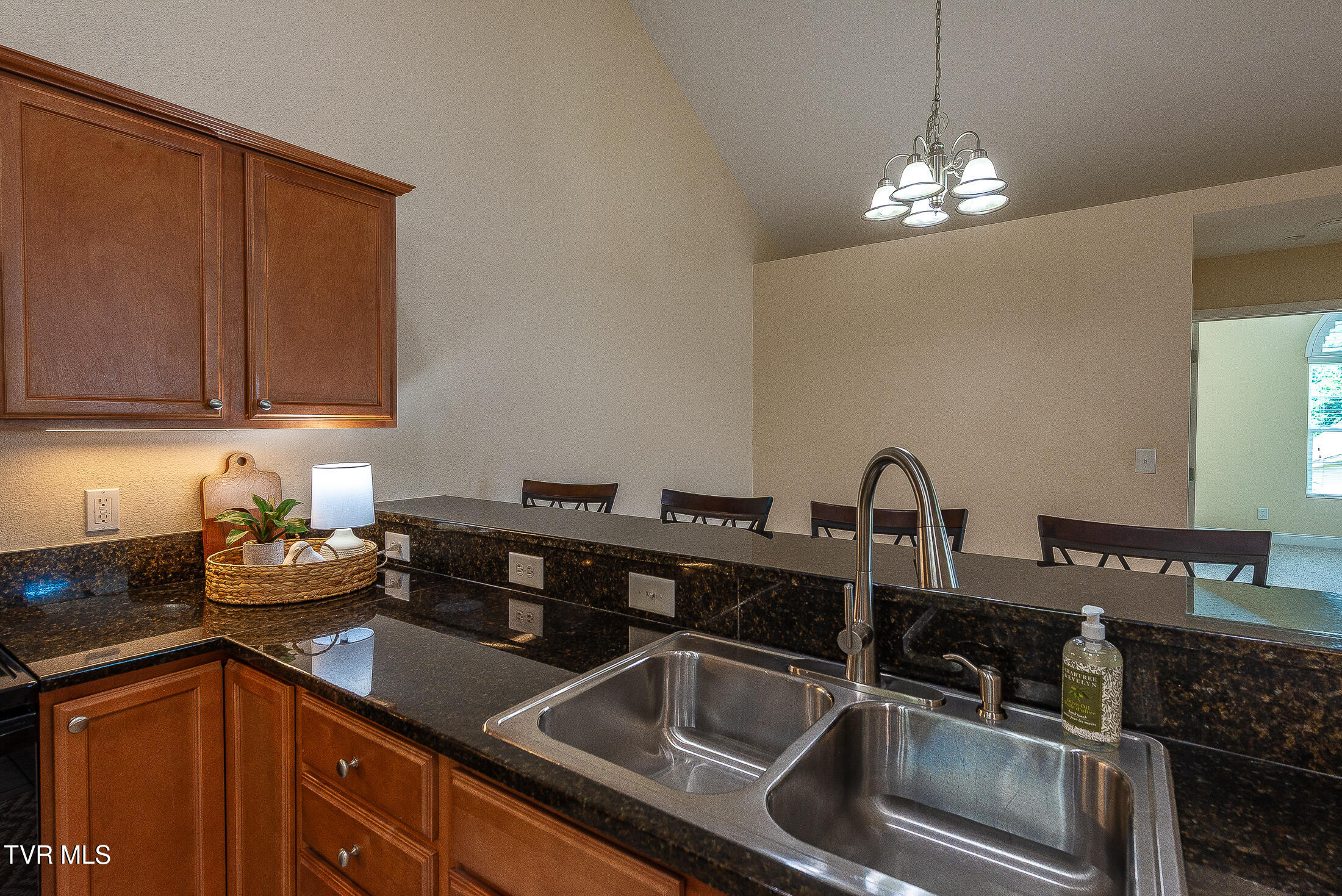 1729 Skyland Falls Court 1729