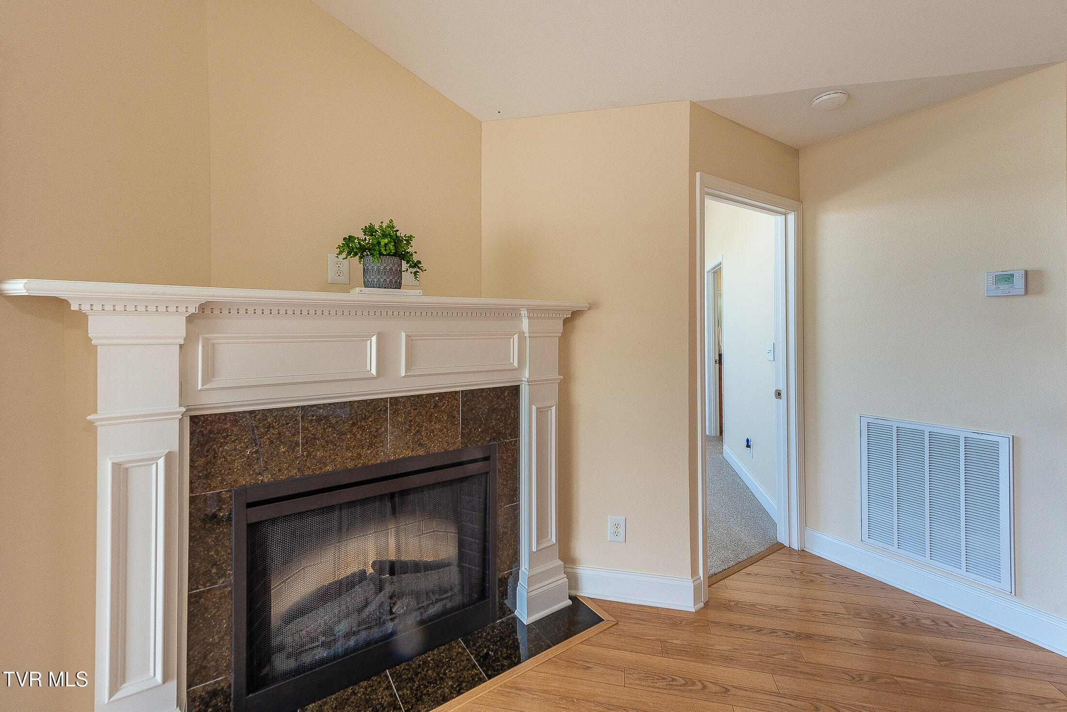 1729 Skyland Falls Court 1729