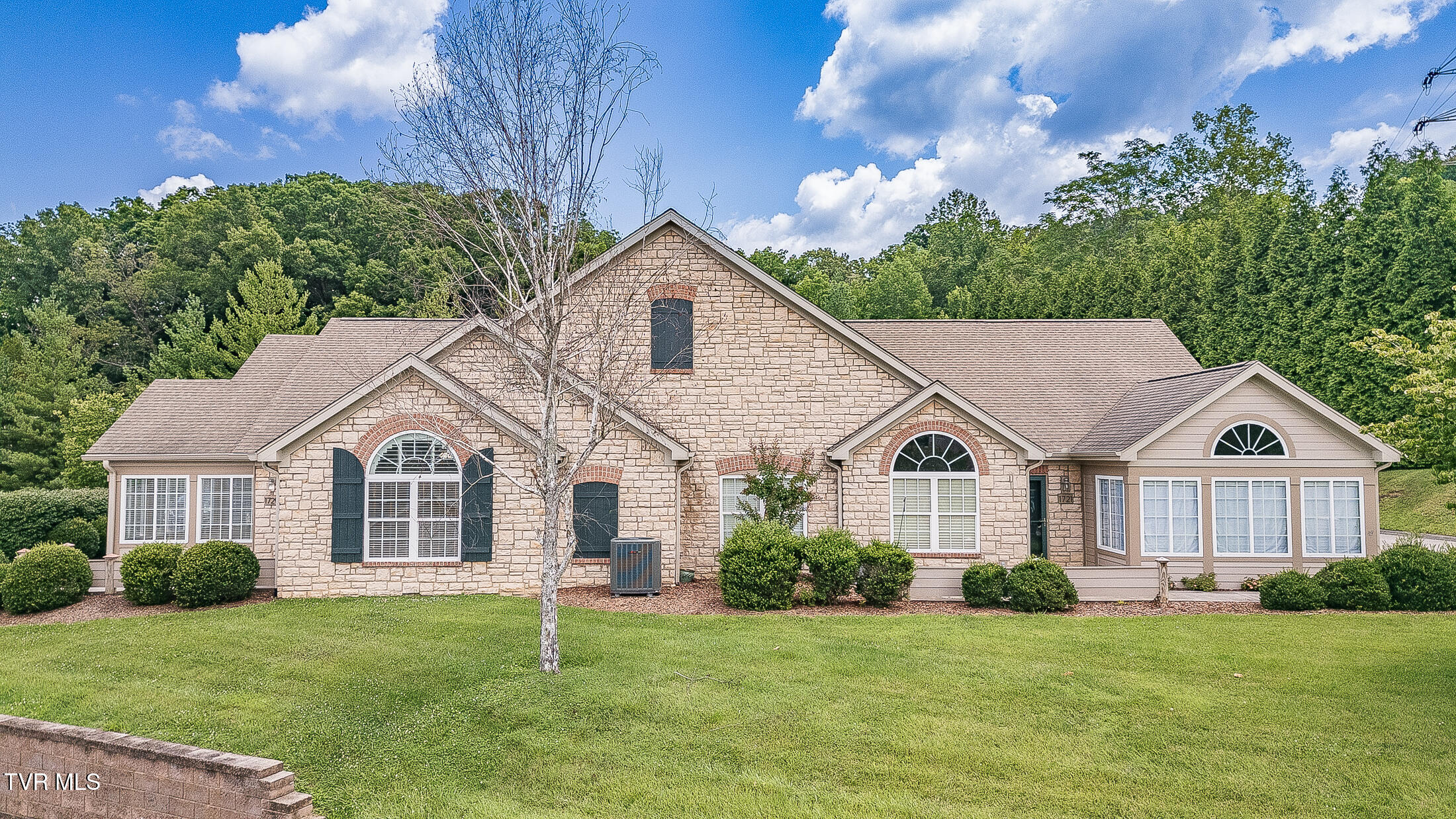 1729 Skyland Falls Court 1729