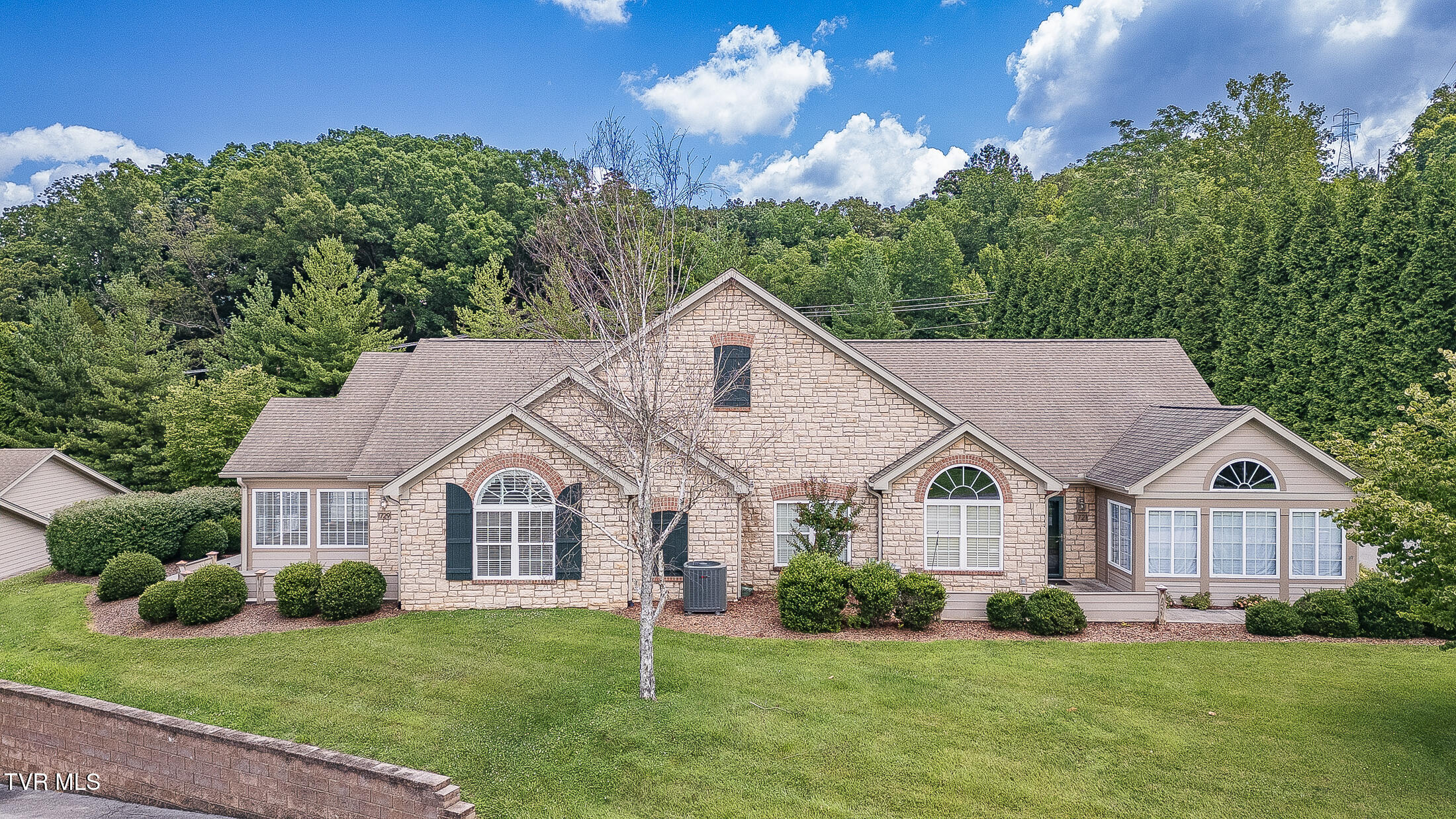1729 Skyland Falls Court 1729