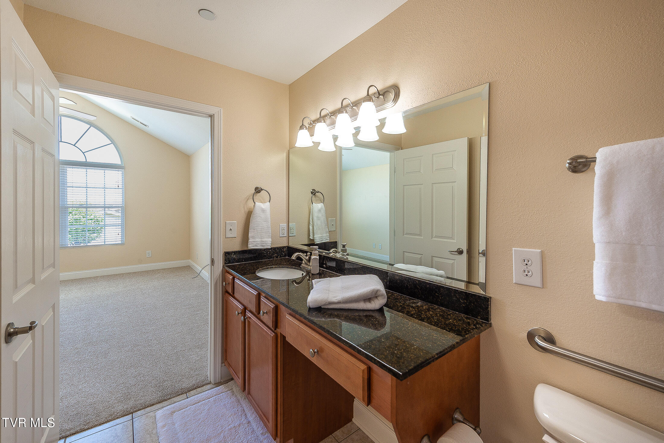 1729 Skyland Falls Court 1729