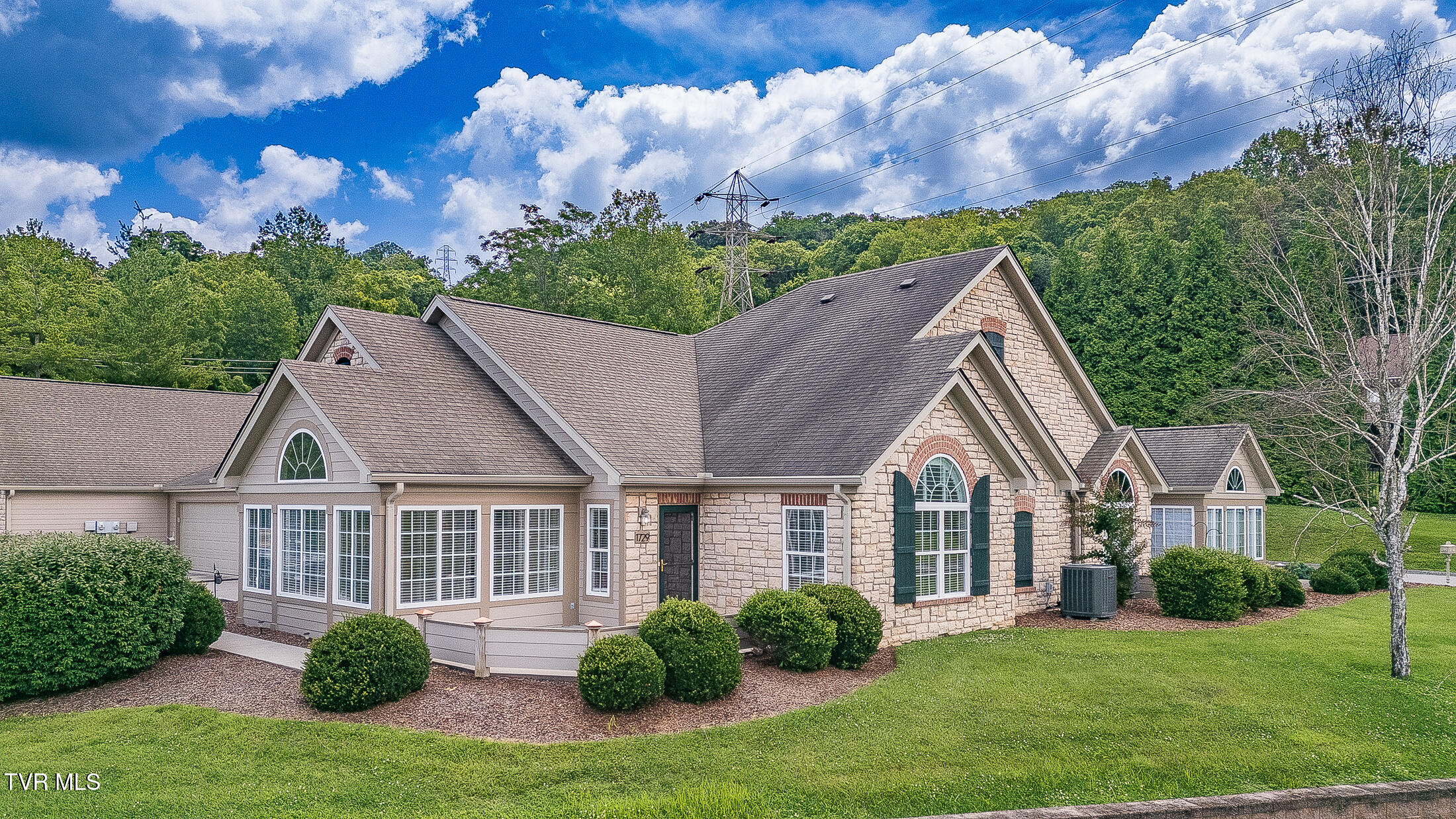 1729 Skyland Falls Court 1729