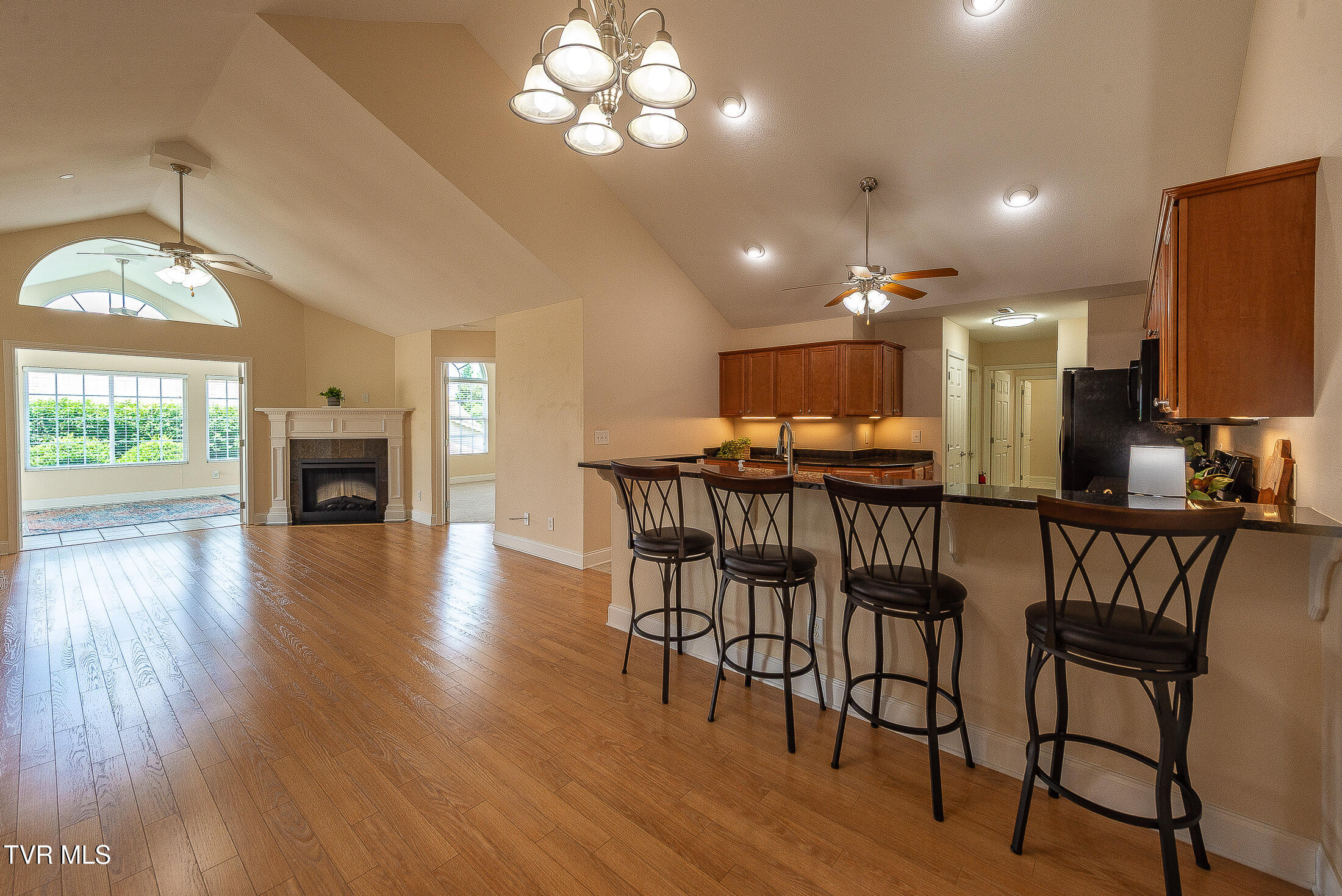 1729 Skyland Falls Court 1729