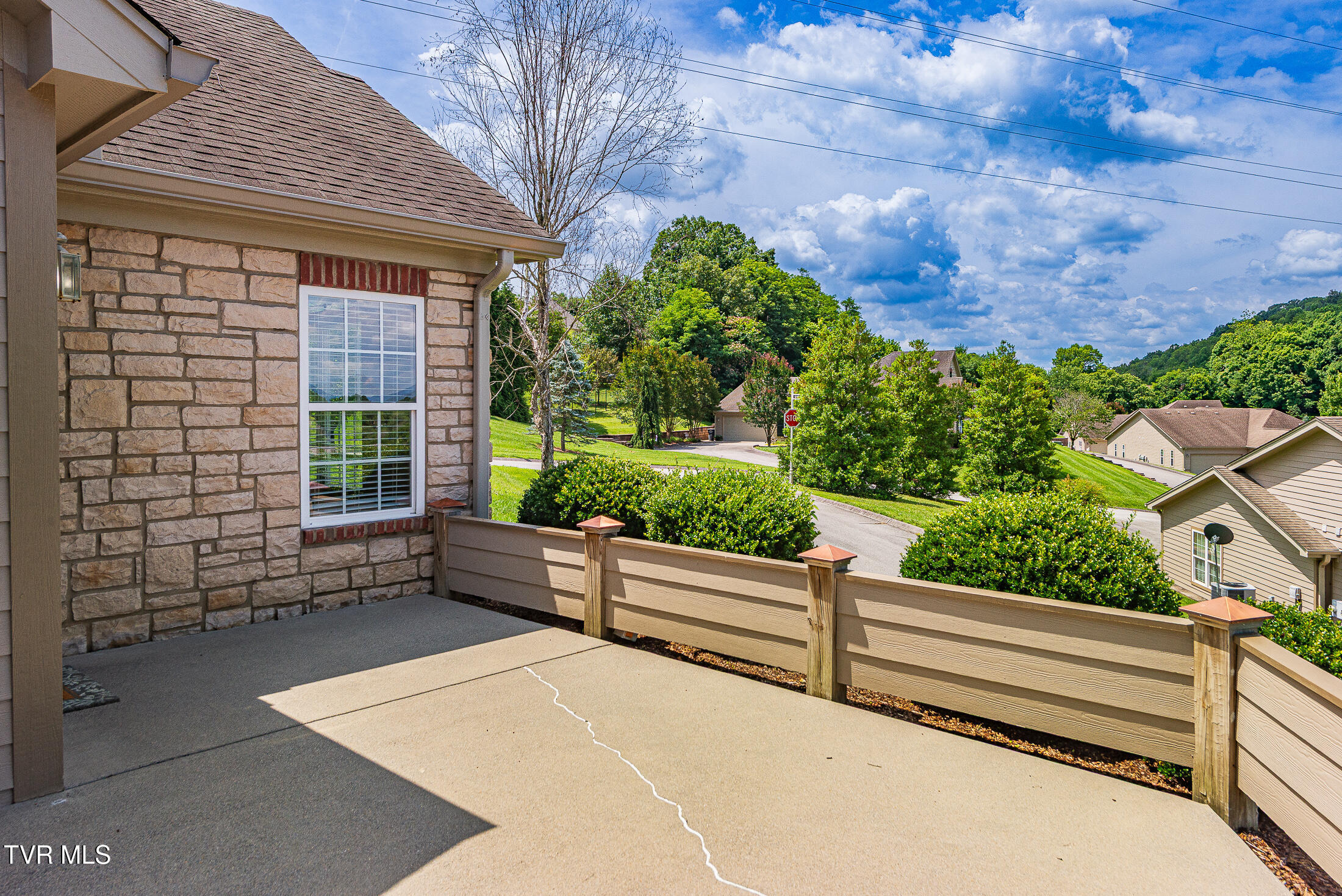 1729 Skyland Falls Court 1729