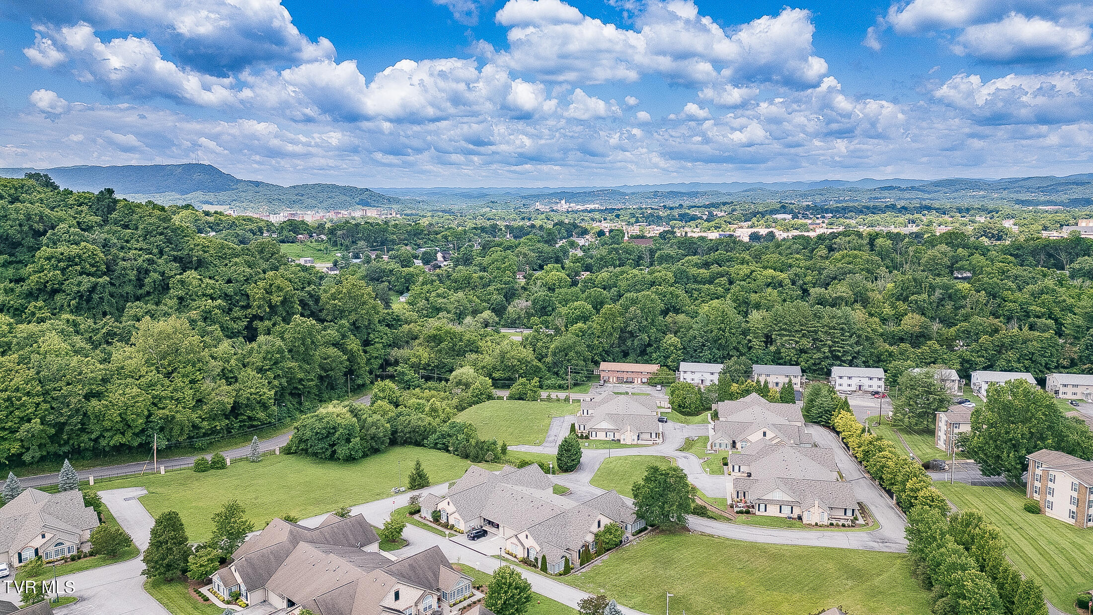 1729 Skyland Falls Court 1729