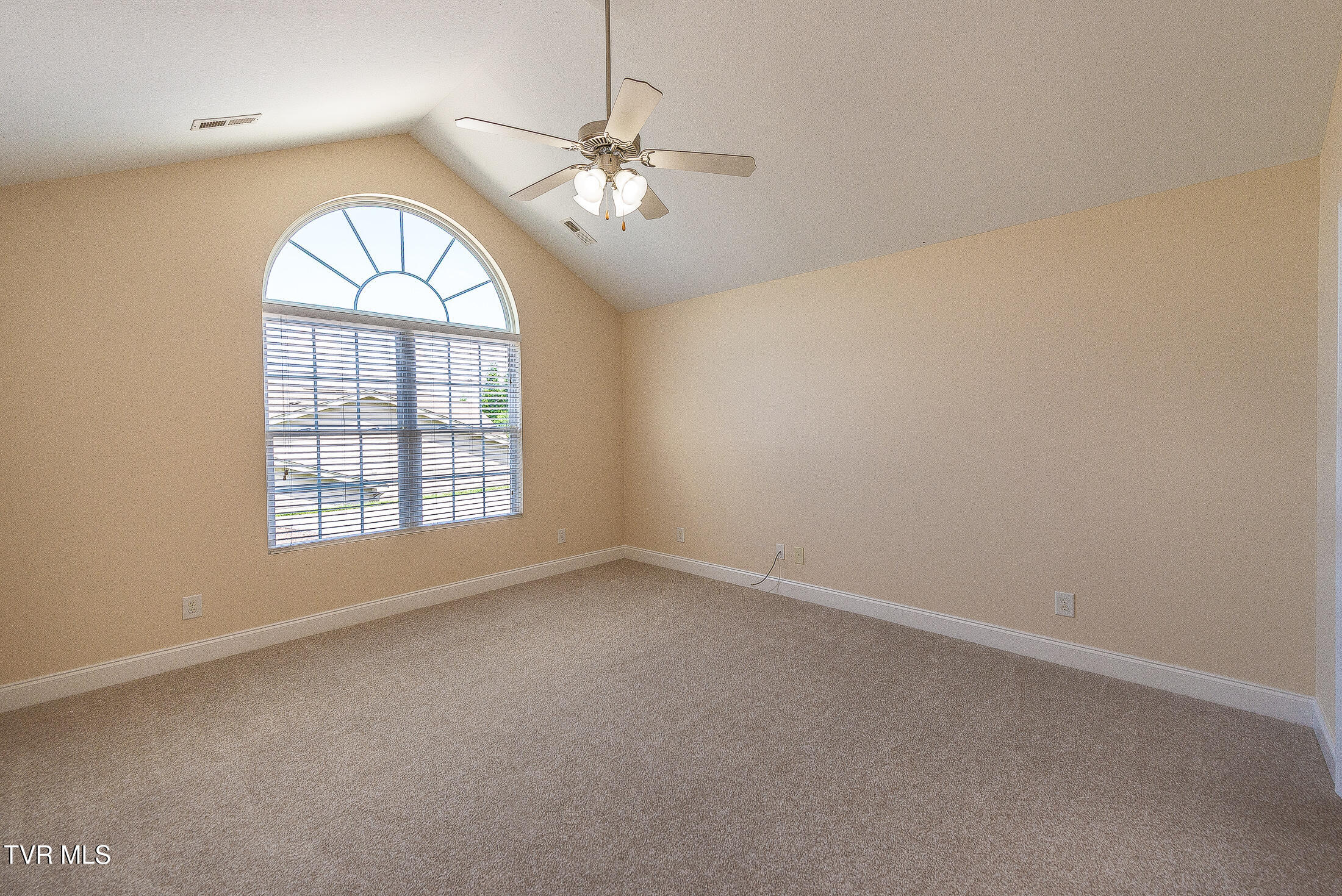 1729 Skyland Falls Court 1729