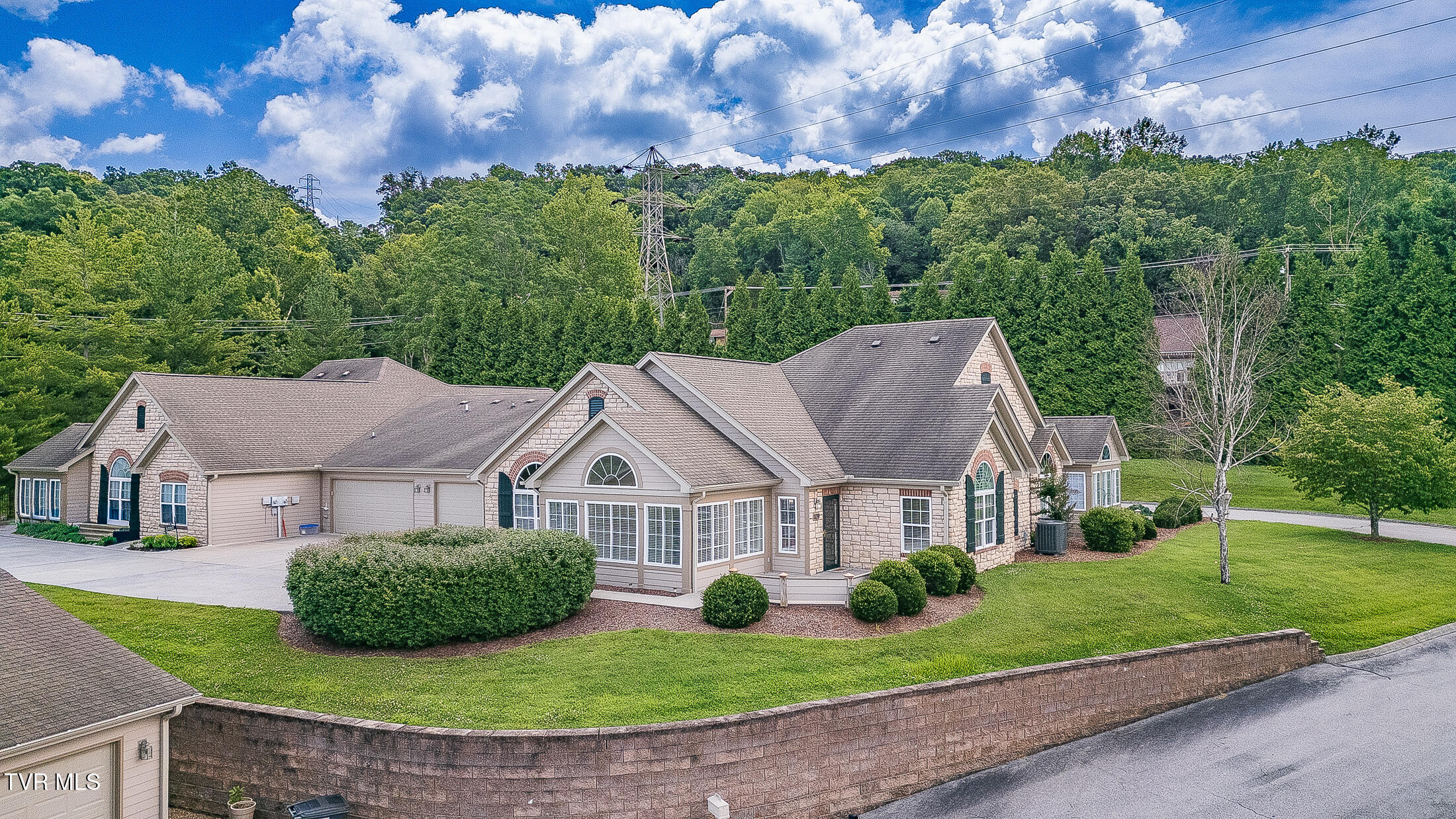 1729 Skyland Falls Court 1729