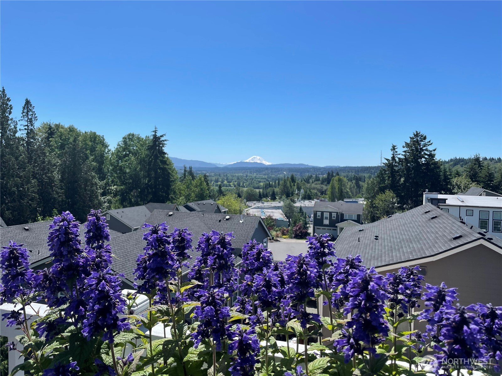 12908 136th Place NE