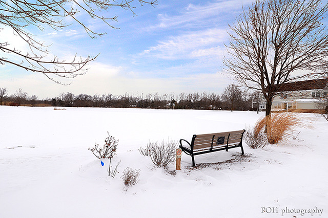 30601 McCormick Lane Unit: 30601