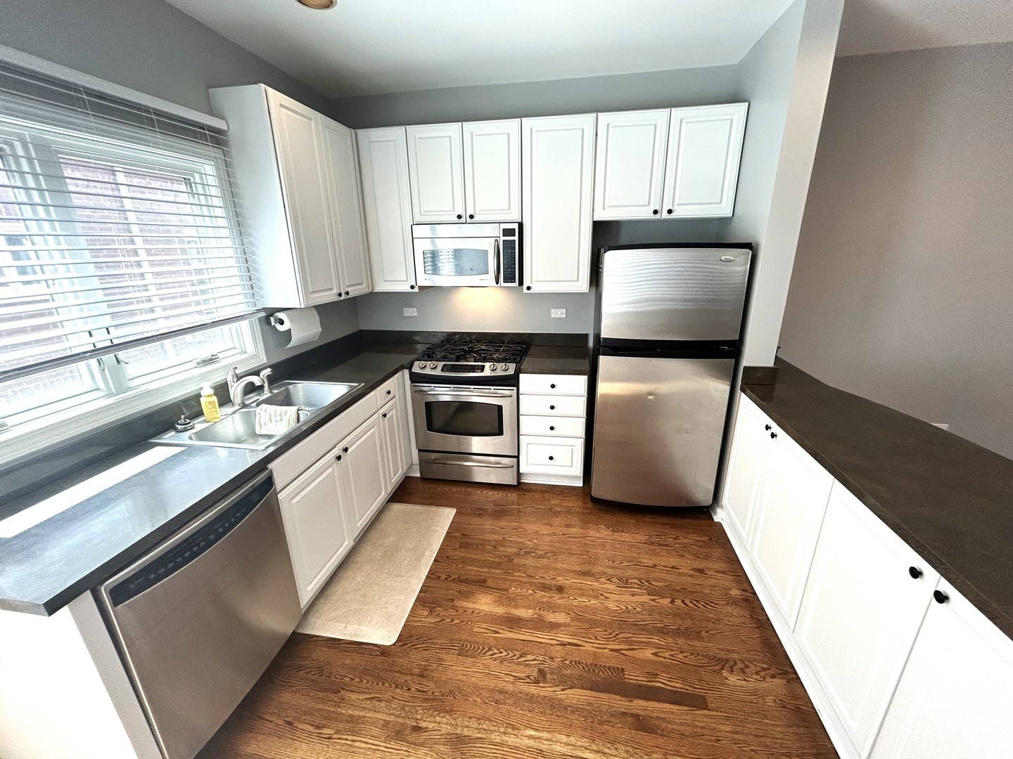 1775 W ALTGELD Street Unit: E