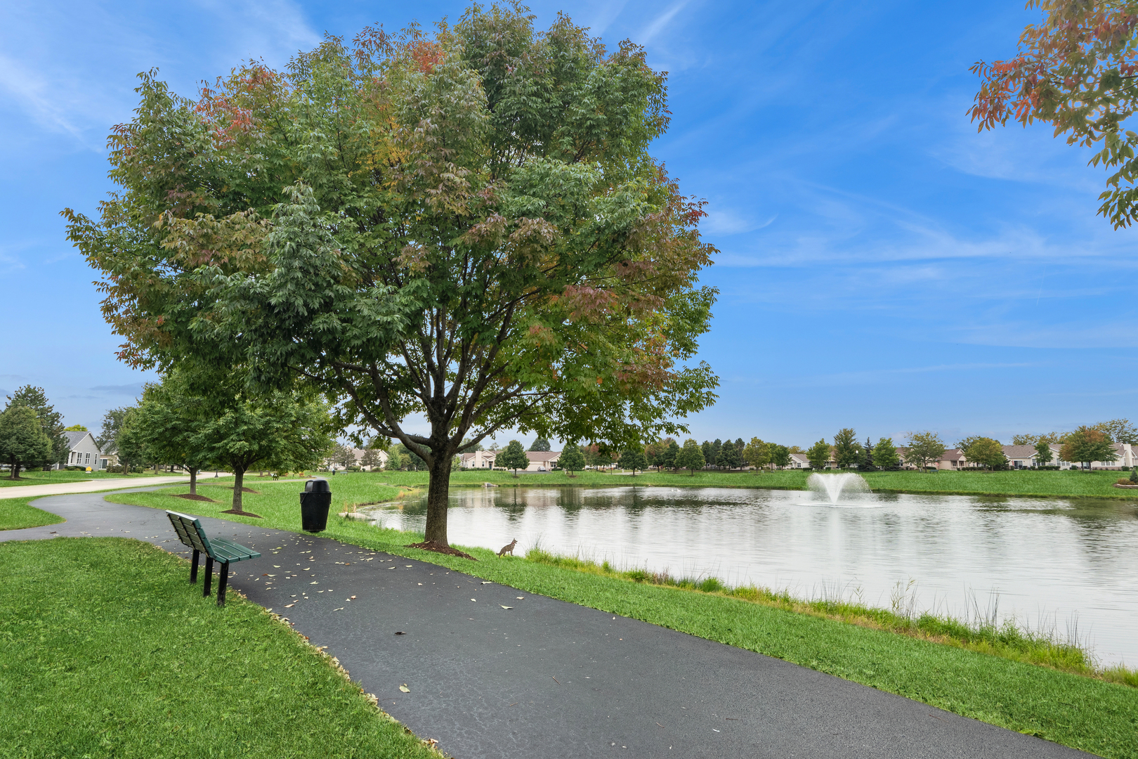 21308 Brush Lake Drive