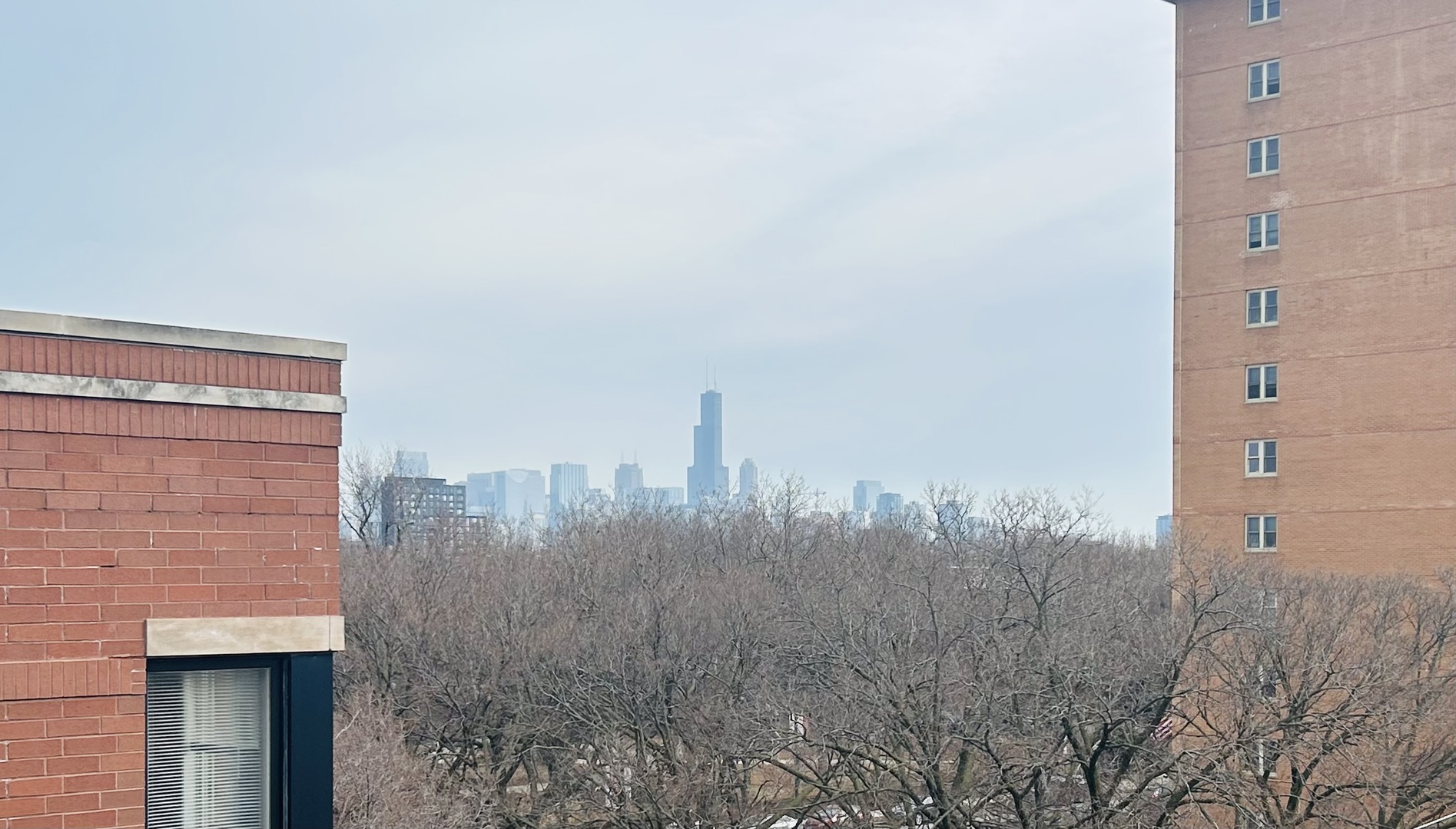 2018 W LeMoyne Street Unit: 3E