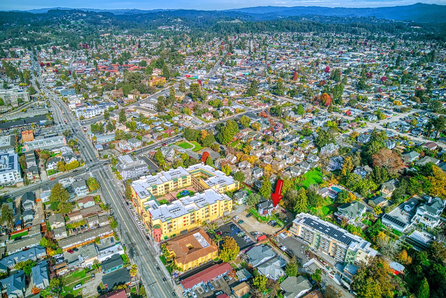 338 Ocean Street