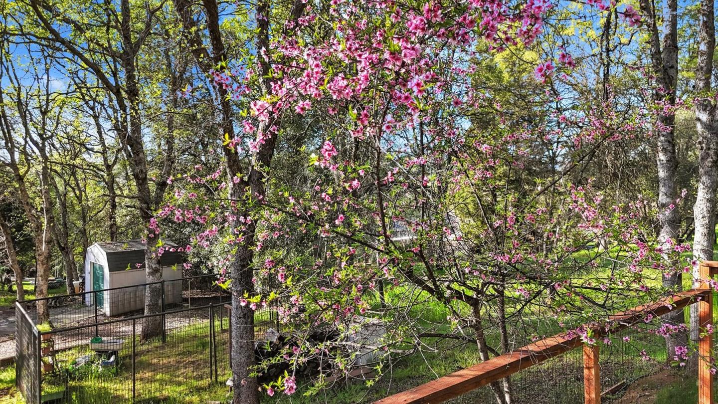 11544 Torrey Pines Drive