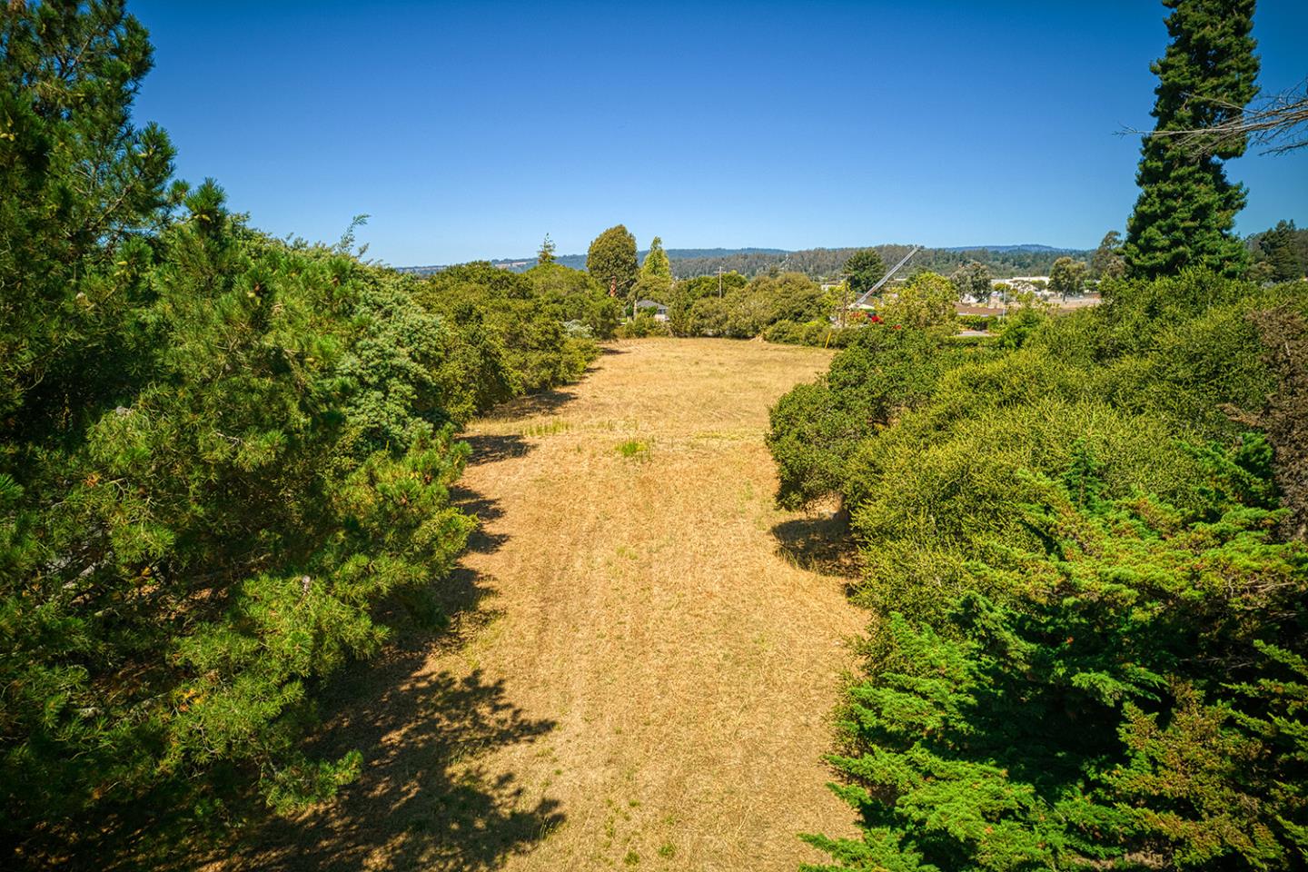 2740 Mattison
