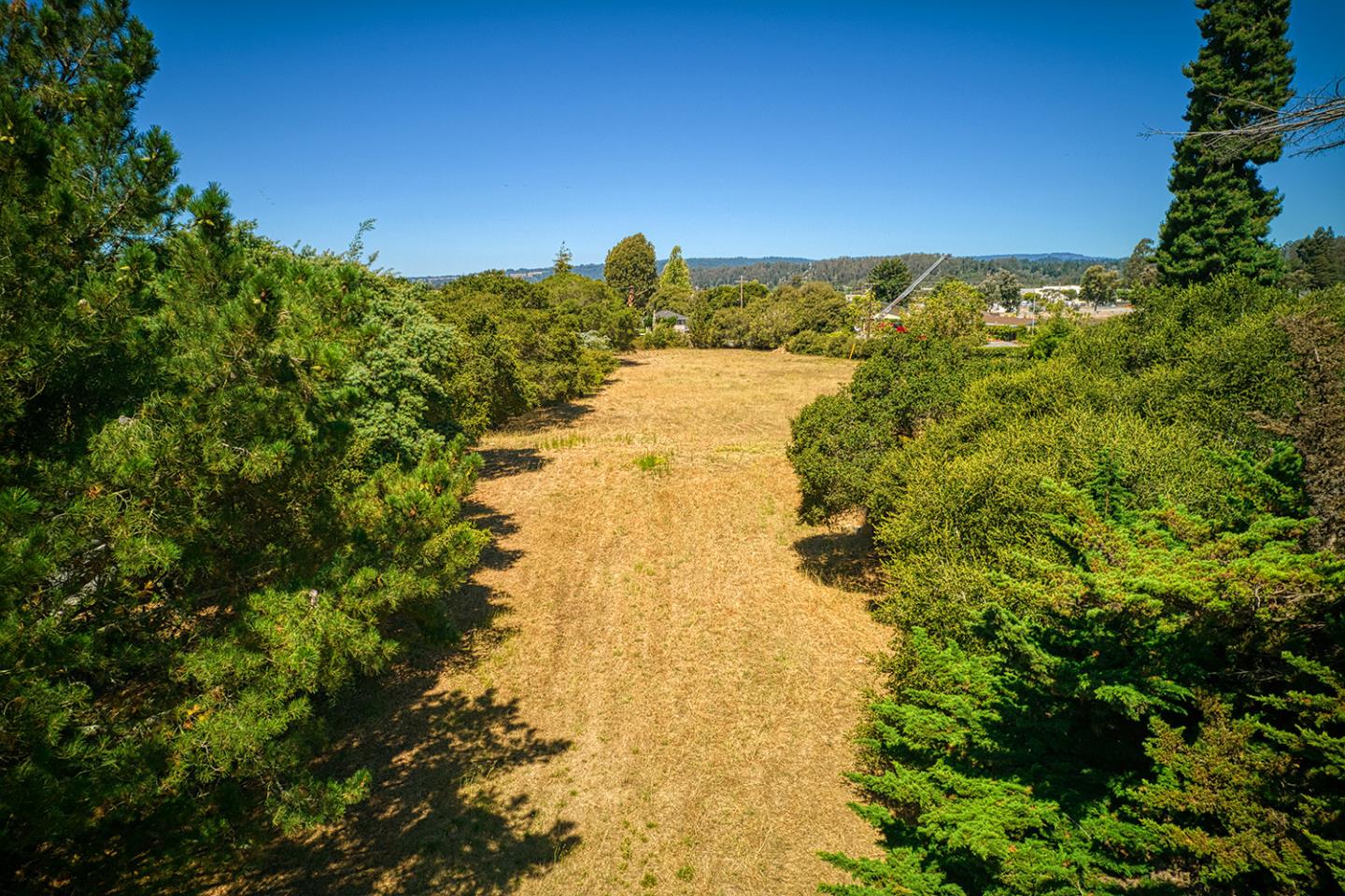 2740 Mattison