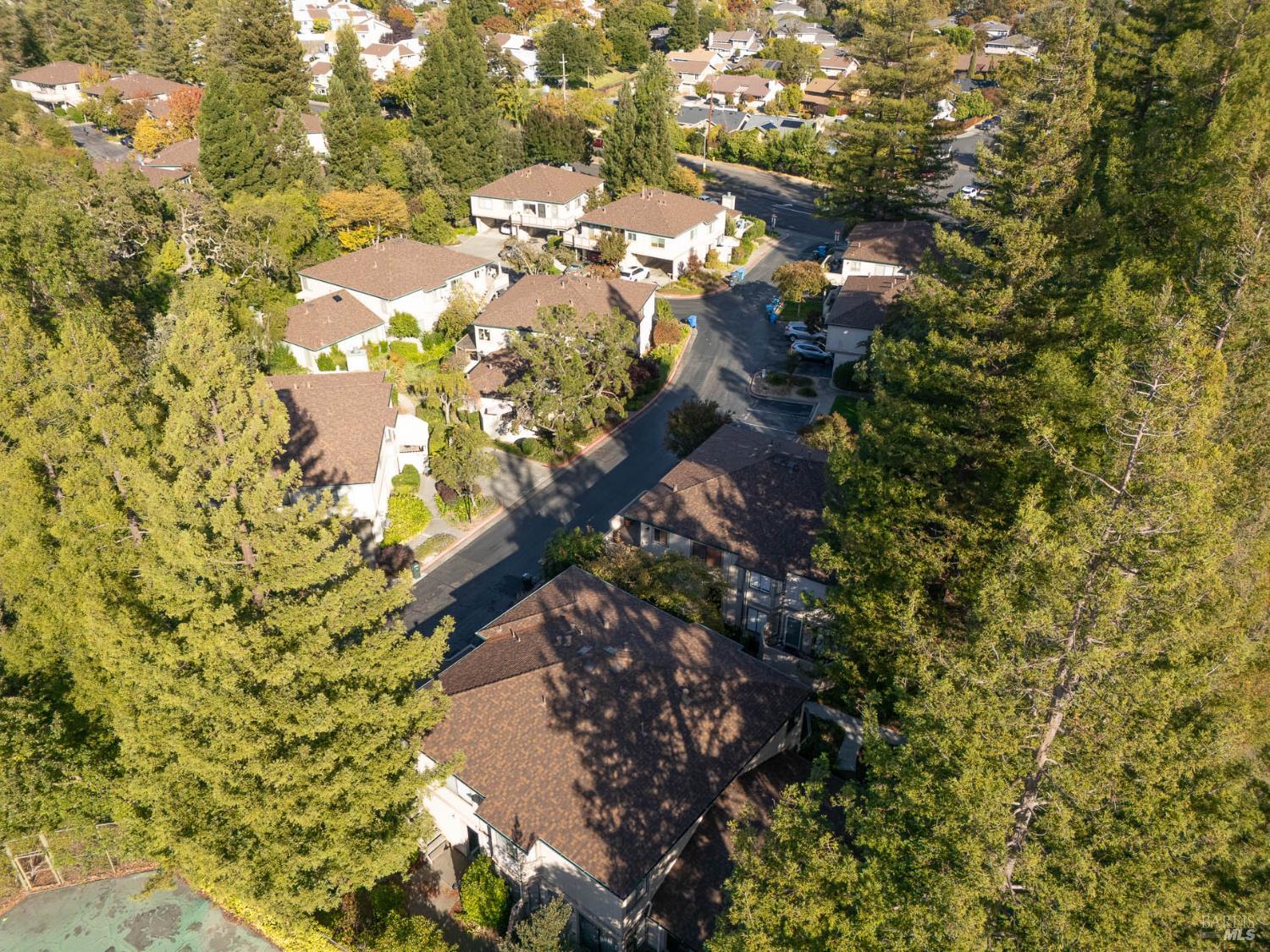 121 Cheda Lane