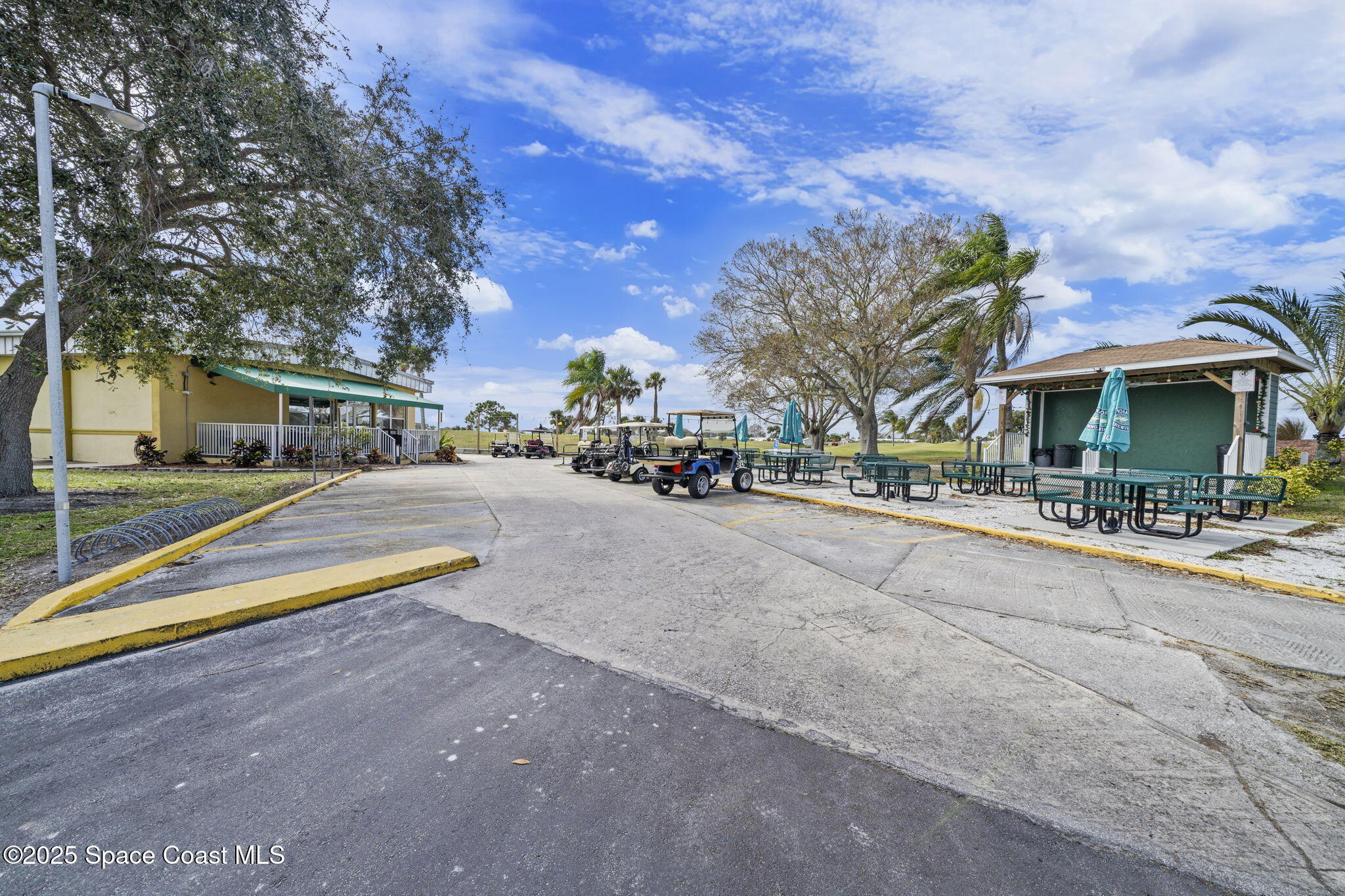 345 Avocado Drive