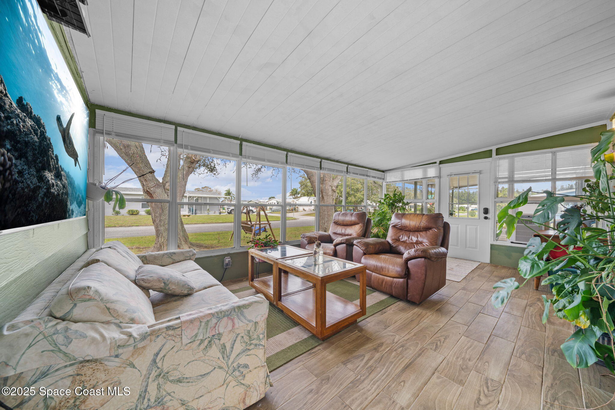 345 Avocado Drive