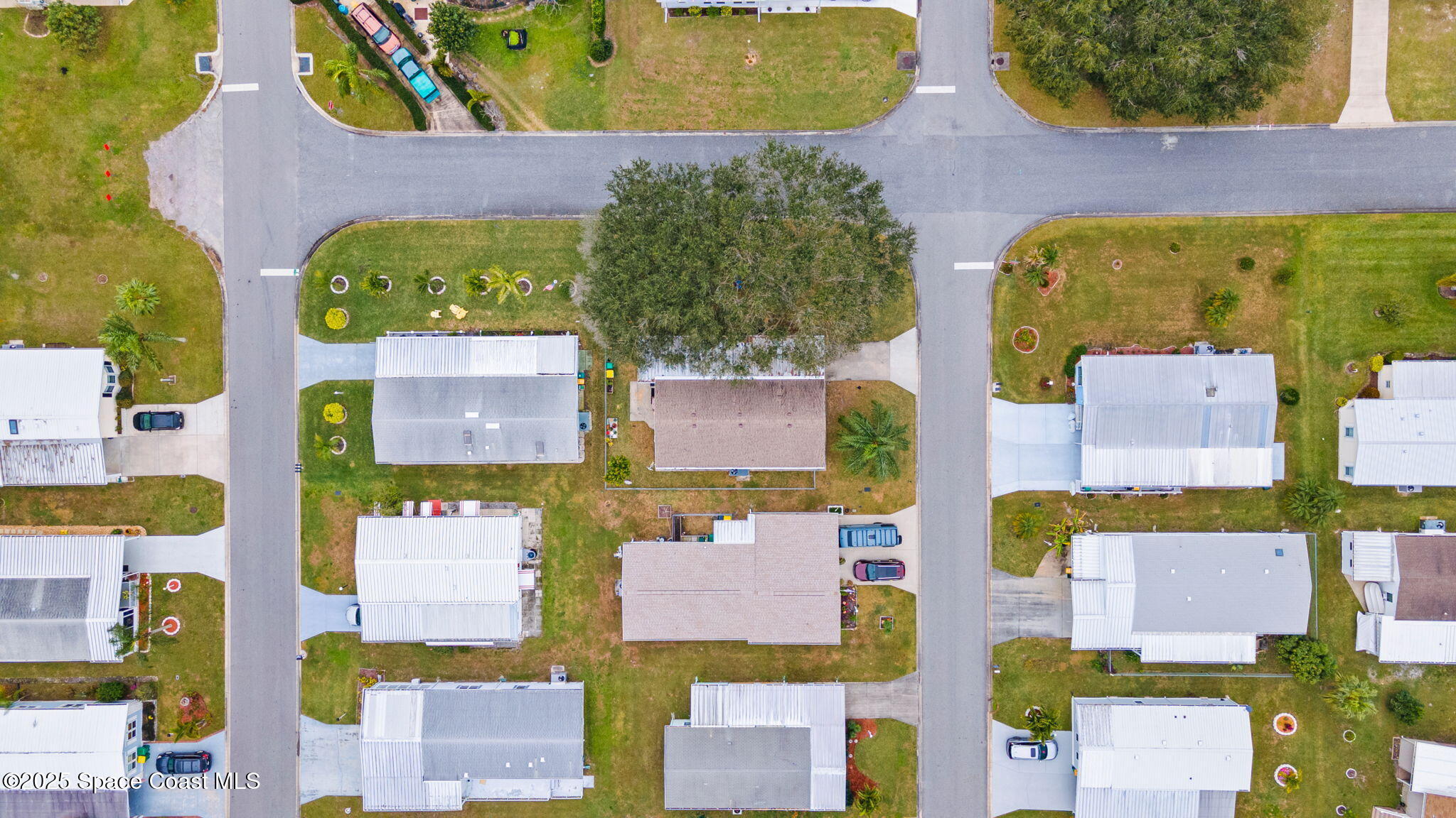 345 Avocado Drive