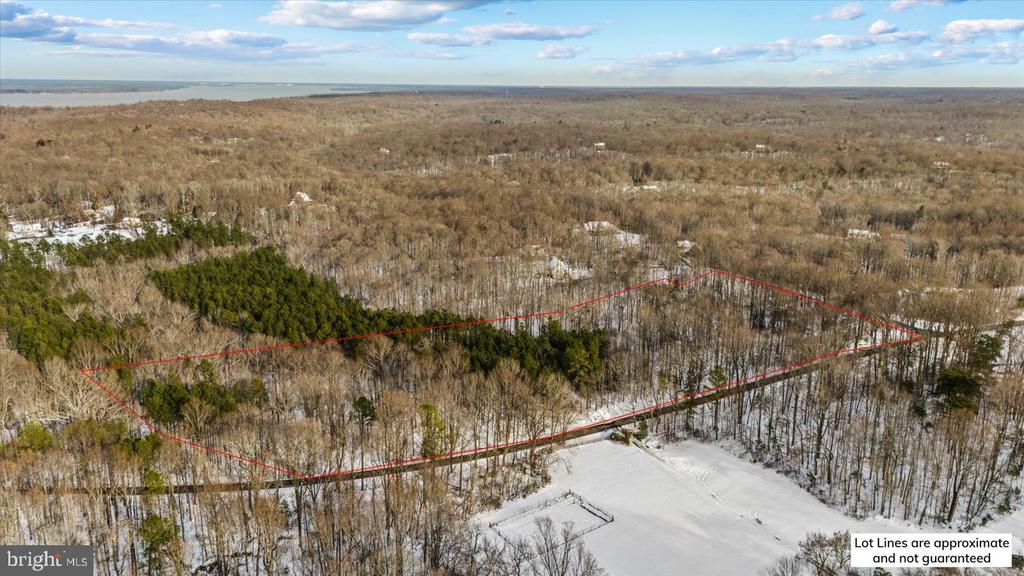 Aerial view of a wooded lot outlined in red, with leafless trees and patches of snow.